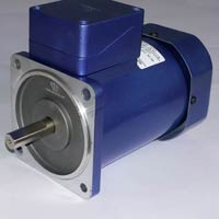 A C induction Motor