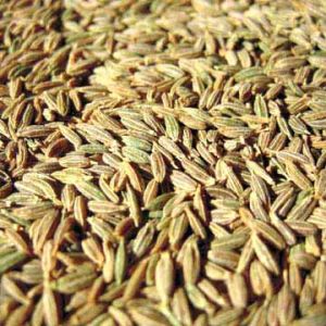 Cumin Seeds