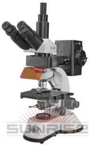 Fluorescence Microscope