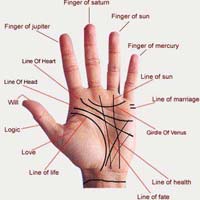 palmistry services