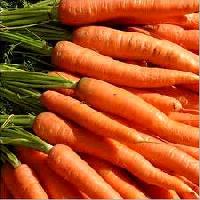 Fresh Carrots