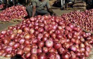 Fresh Onions