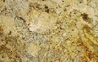 gold galaxy granite