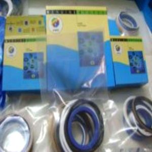 Hydraulic Seal Kit