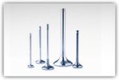 Exhaust Valves