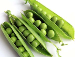 Fresh Green Peas