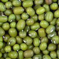 Green Moong Beans