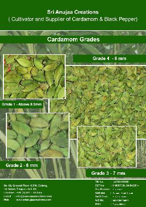 Cardamom