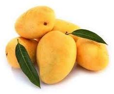 kesar mango