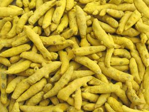 Turmeric Finger