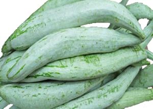 Fresh Snake Gourd