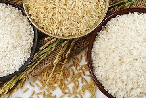 Long Grain Rice