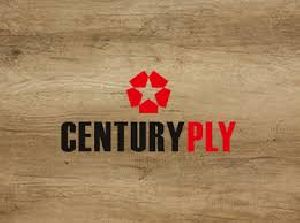 century plywood