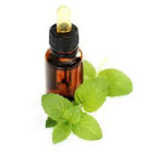 Cornmint Oil