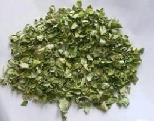 Moringa Leaves