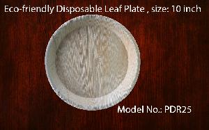 Eco-friendly natural leaf plate