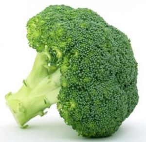 Fresh Broccoli