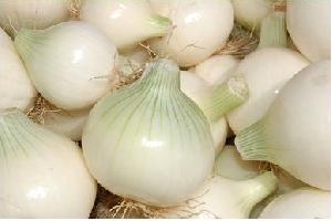 Fresh White Onion