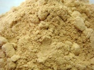 Dried Mango Powder