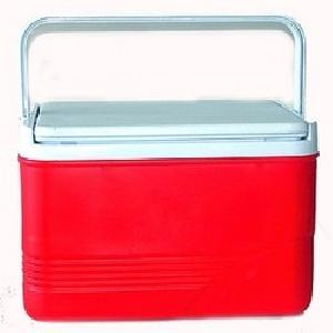 PLASTIC INSULATED ICE BOX2