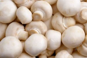 Canned Button Mushrooms