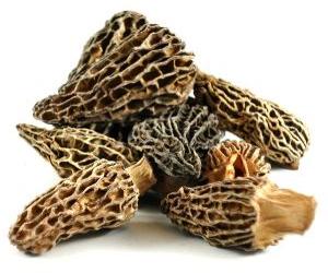 Dried Morel Mushrooms