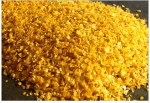 Corn DDGS