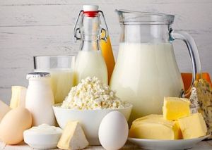 Dairy Products