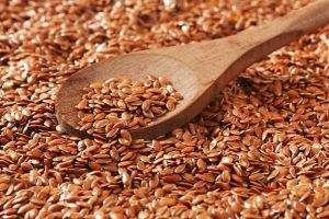 Flax Seeds