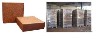 coco peat block 5kg