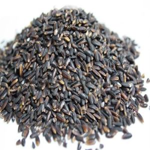 Black Kavuni RIce