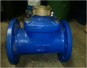 Water Flow Meter