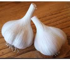 Garlic Bulbs