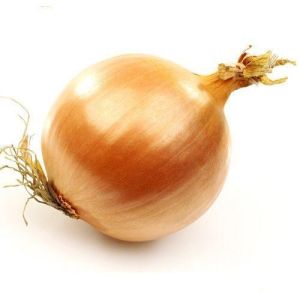 Light Brown Onion