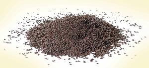 Black Mustard Seeds(Sarso)
