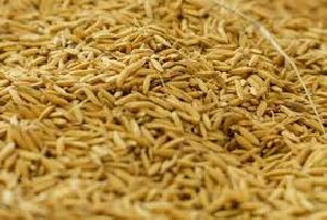 Rice Bran