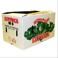 Lettuce Packaging Boxes