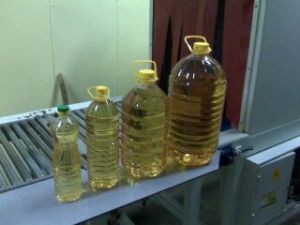 Sunflower Oil