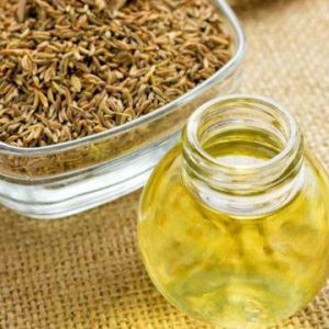 Caraway Oil