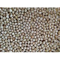 30 Kg Natural Dried Chick Peas
