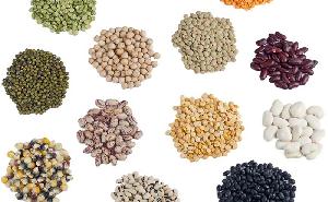 Indian Pulses