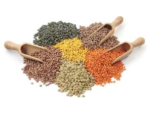 Organic Pulses