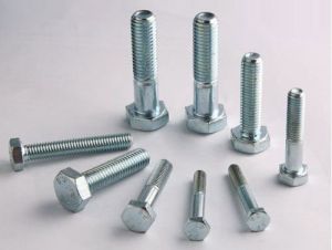 Hastelloy Fasteners