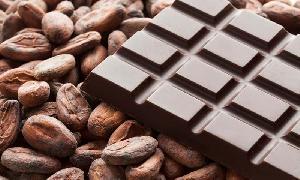 Cocoa Beans