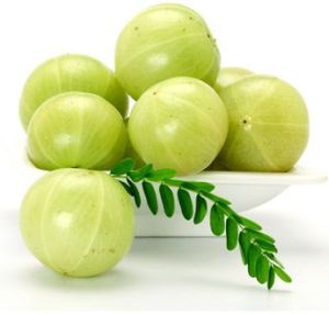 Fresh Amla