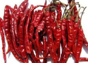 Dried Red Chilli