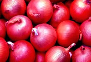 Fresh Red Onion