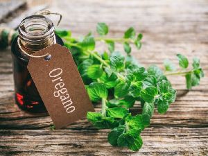 Oregano Oil