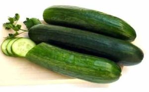 Fresh Cucumber