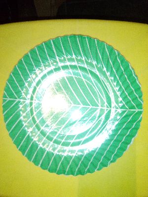 Plain Paper Plates